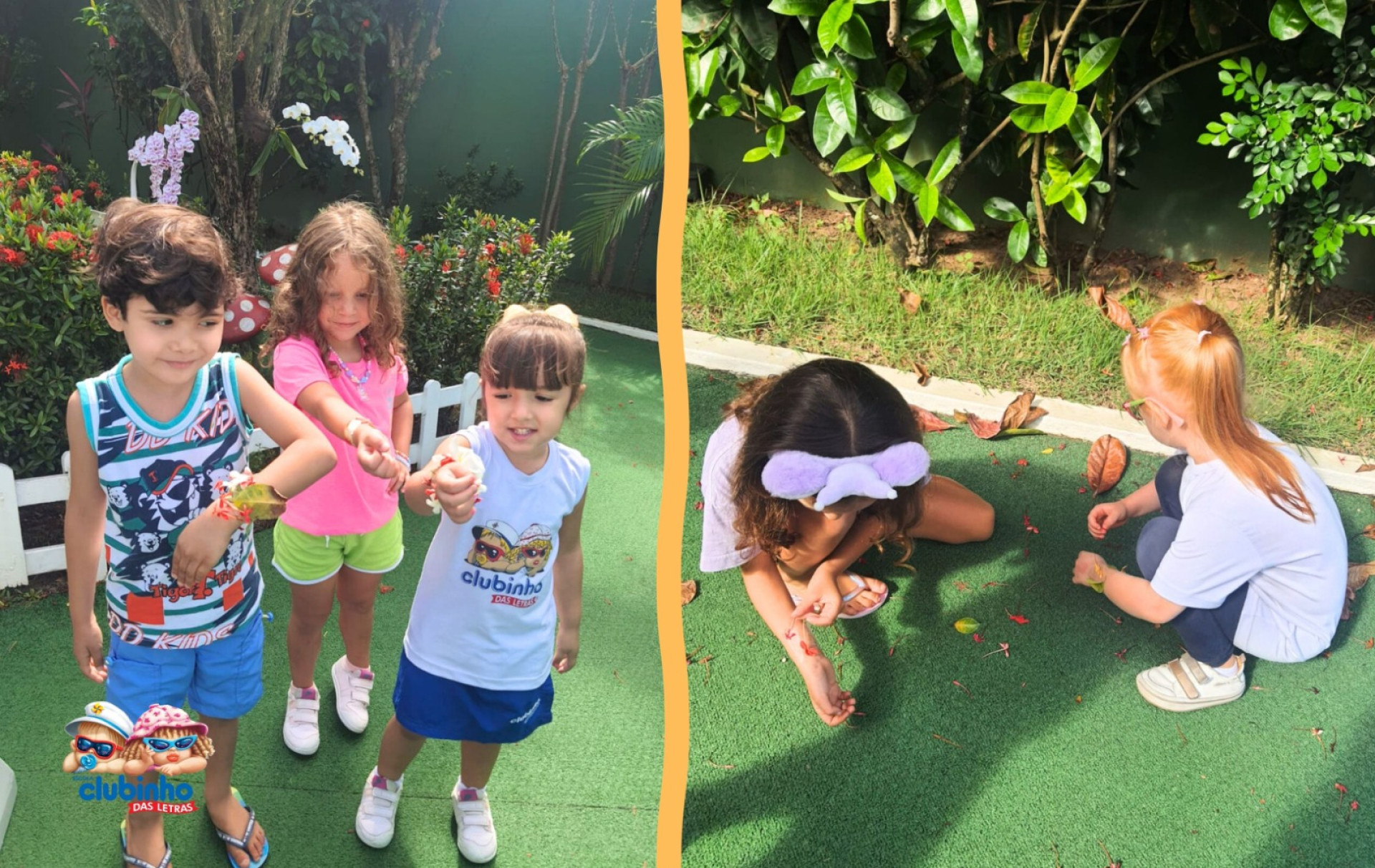 Vivências: elementos da Natureza