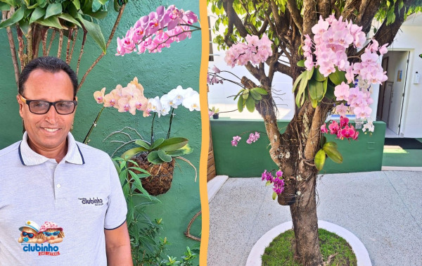 O Senhor das Orquídeas!